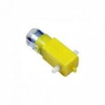 100 RPM Bo Motor Straight Dual Shaft