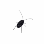 Solar Powered Vibrating Black Cockroach Bug - Image 4