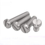M4 25mm SS Screw Cheese Head- 20 Pcs