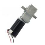 A58SW31ZY 12V 27RPM Dual Shaft DC Worm Gear Motor