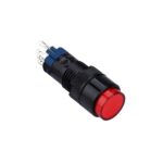 12mm 5Pin Round Button Latching Red Button with 12V Lamp