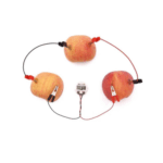 DIY Fruit Battery Alarm Clock Potato Power Clock Educational Toy: Build Your Own Fruit-Powered Alarm Clock